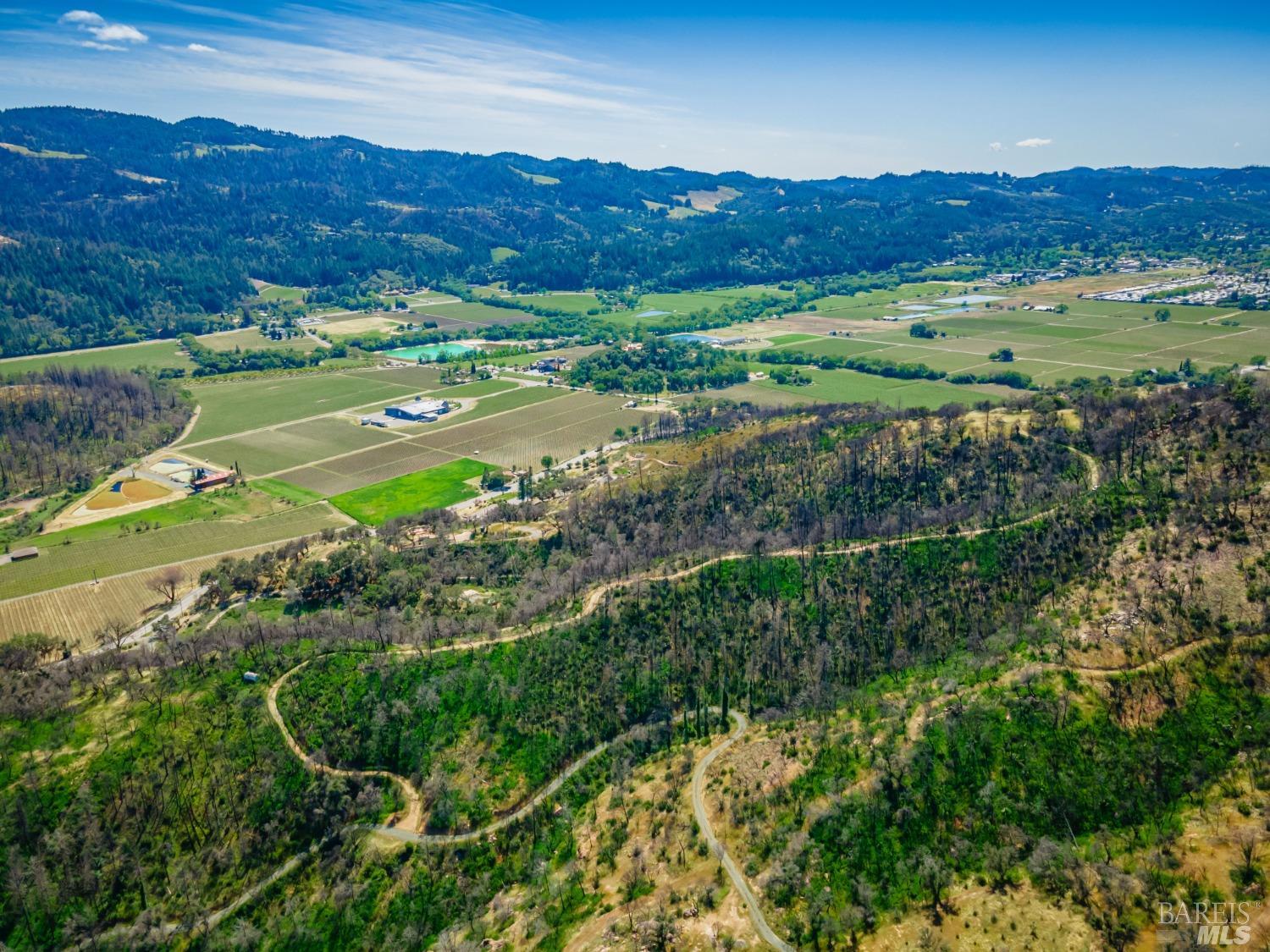 0 Silverado Trail North Calistoga, CA 94515 - Photo 64 of 82 a view of a lush green field with lots of bushes