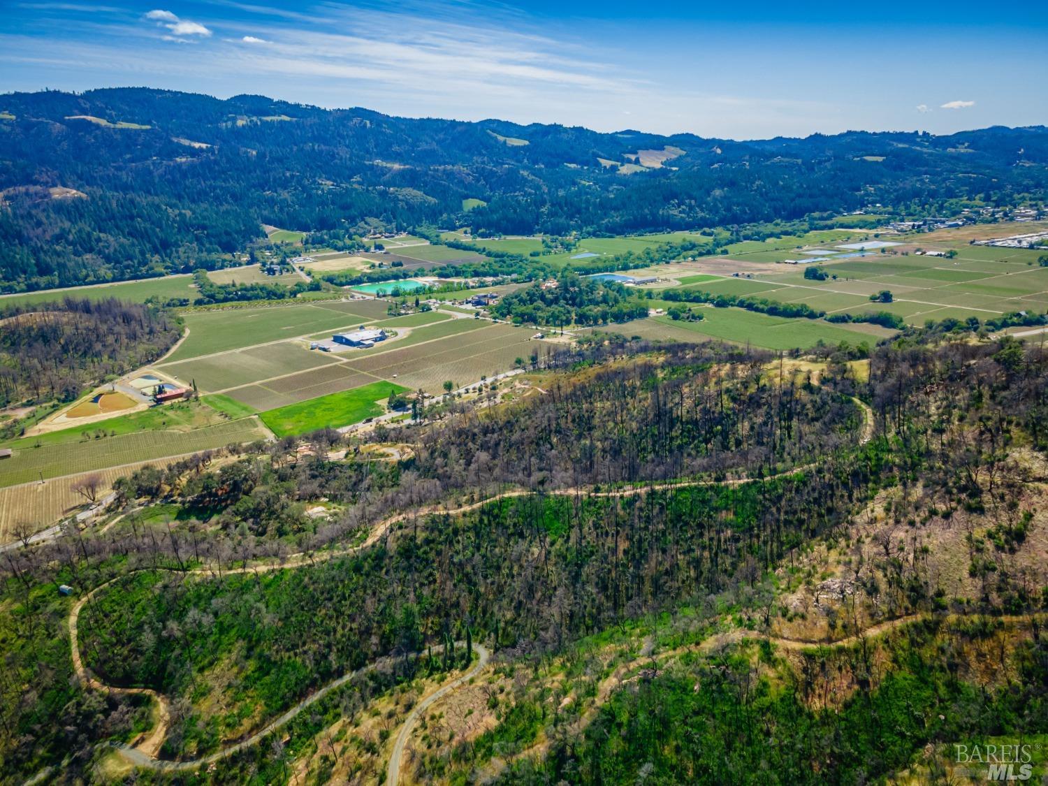0 Silverado Trail North Calistoga, CA 94515 - Photo 65 of 82 a view of a lush green hillside and houses