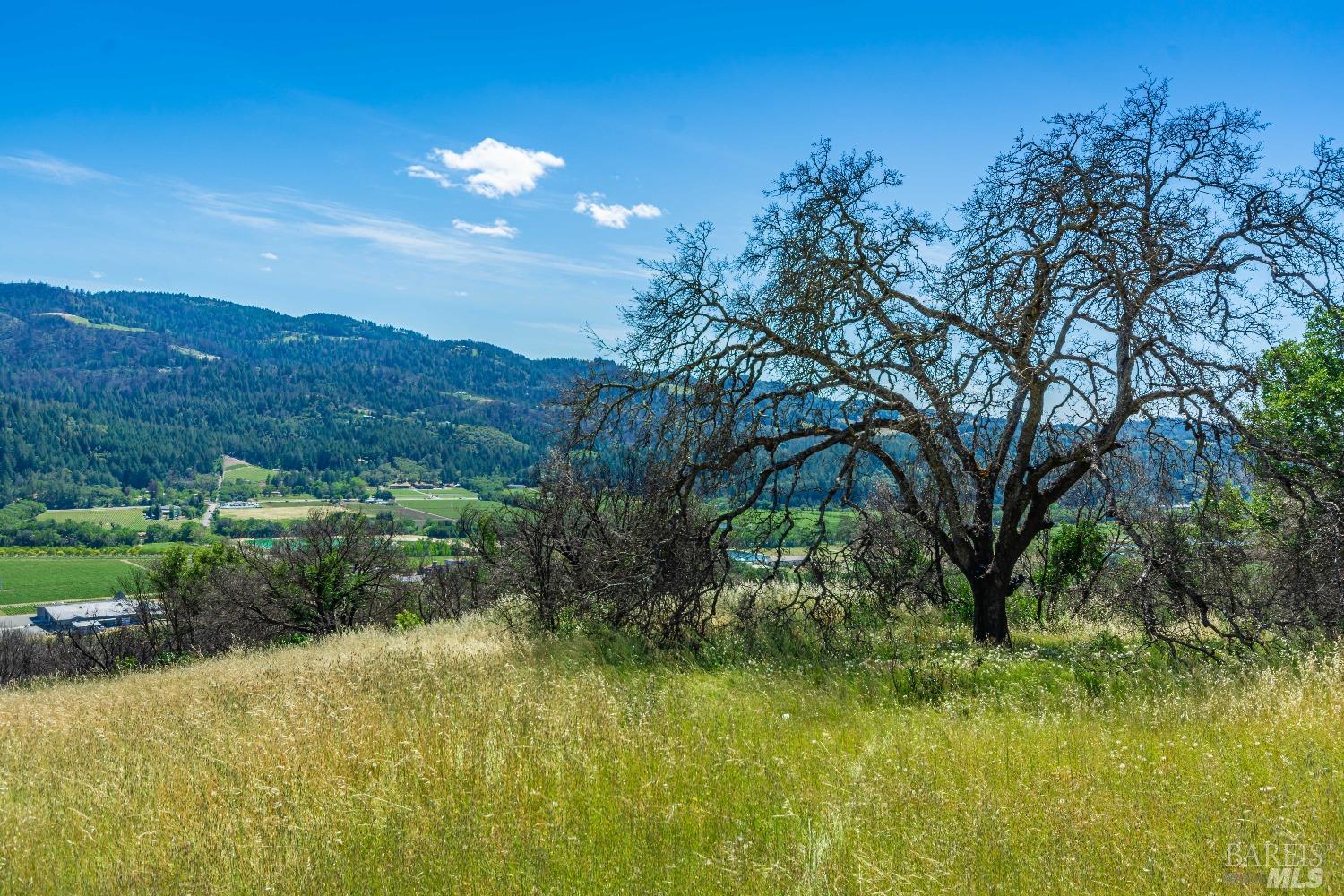 0 Silverado Trail North Calistoga, CA 94515 - Photo 7 of 82 a view of a lake with a mountain in the background