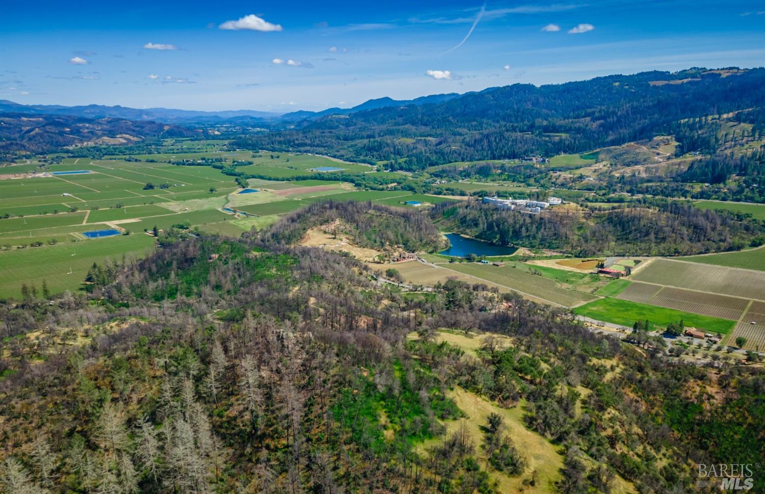 0 Silverado Trail North Calistoga, CA 94515 - Photo 73 of 82 a view of a lush green hillside and a houses