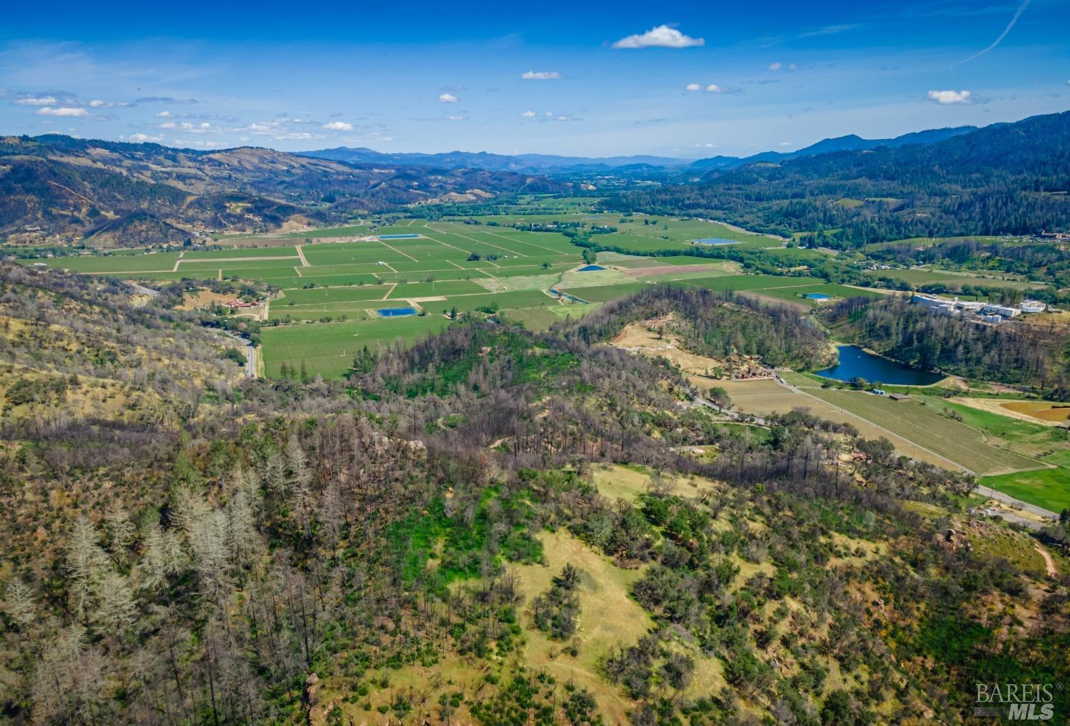 0 Silverado Trail North Calistoga, CA 94515 - Photo 74 of 82 a view of a lush green forest with lots of trees