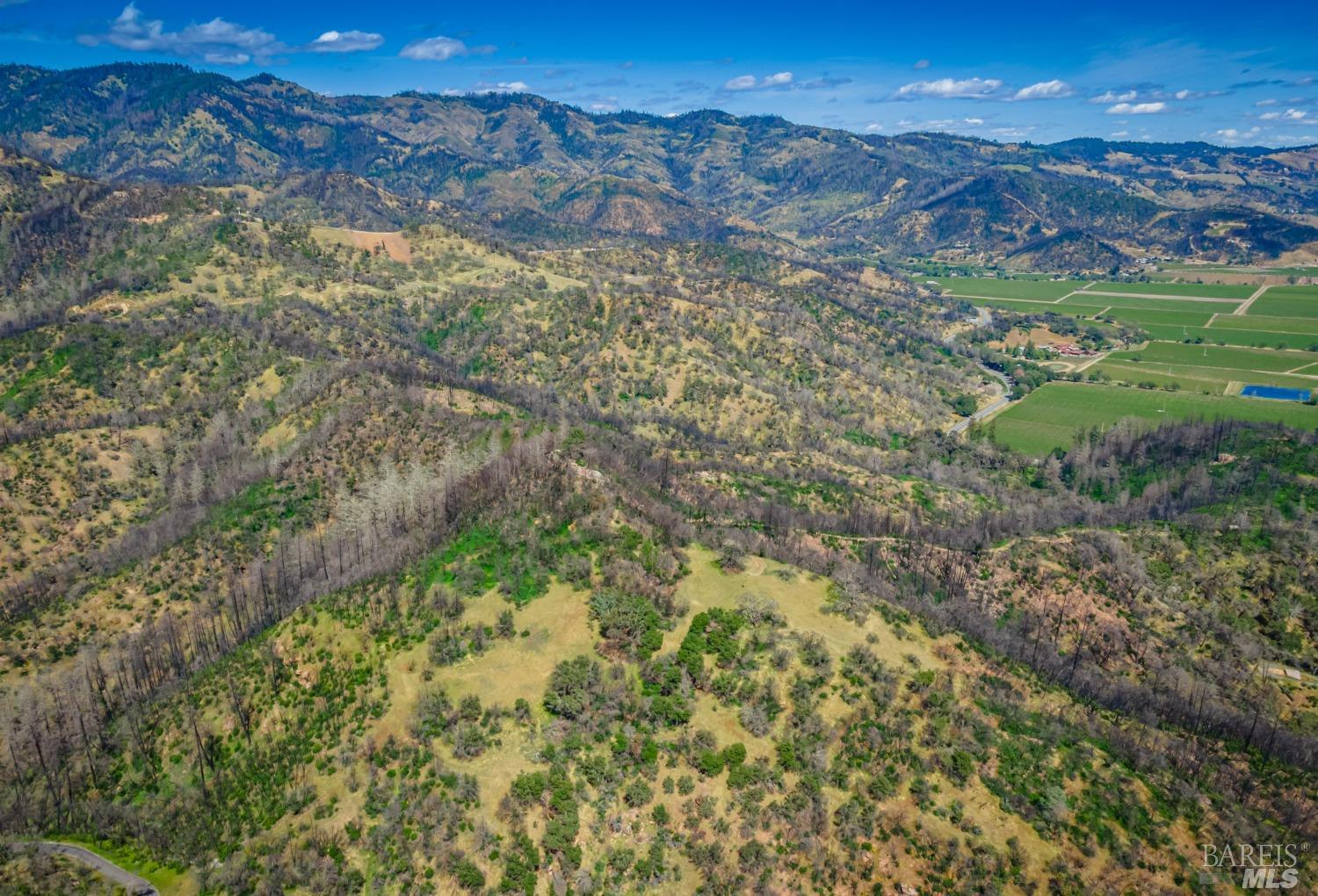 0 Silverado Trail North Calistoga, CA 94515 - Photo 76 of 82 a view of a yard with a mountain