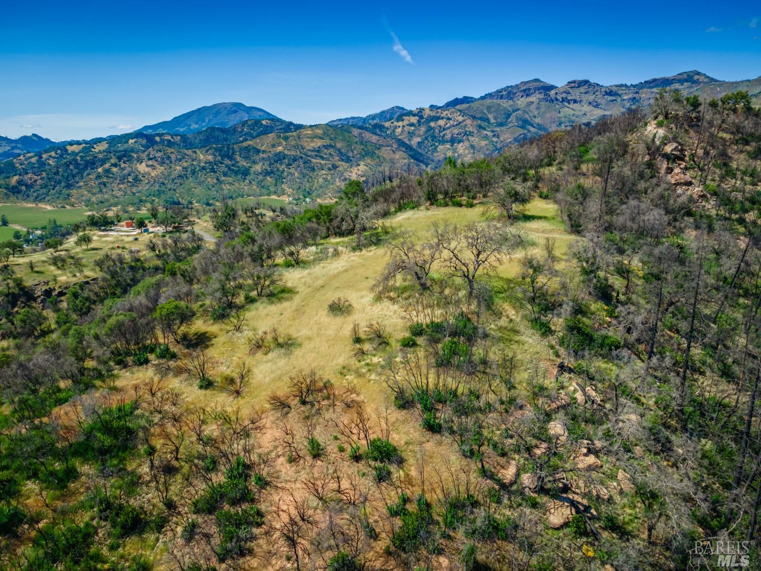 0 Silverado Trail North Calistoga, CA 94515 - Photo 82 of 82 a view of a mountain range with trees in the background