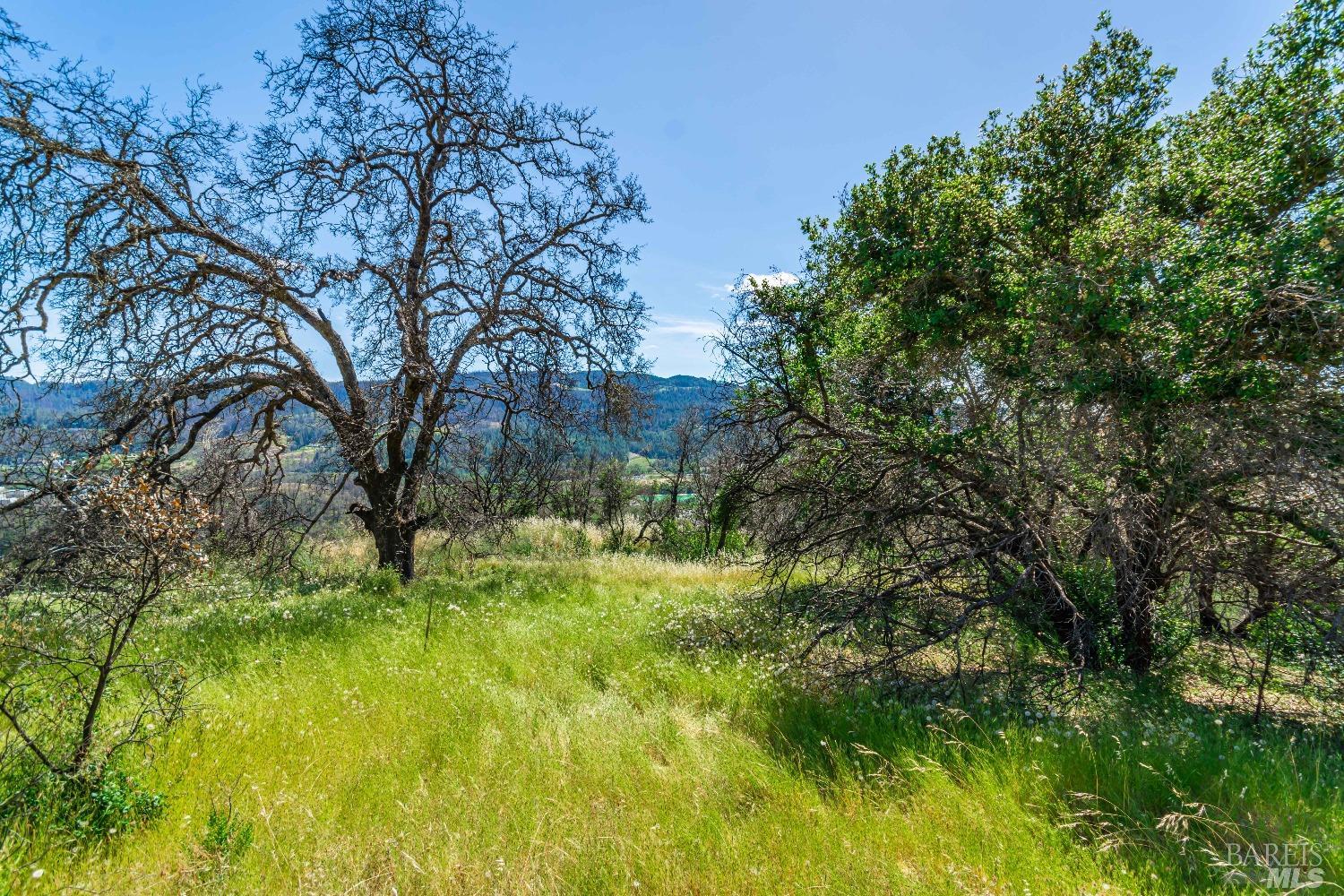 0 Silverado Trail North Calistoga, CA 94515 - Photo 9 of 82