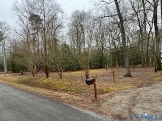 170 Wading Creek Road Dutton, VA 23050 - Photo 26 of 26