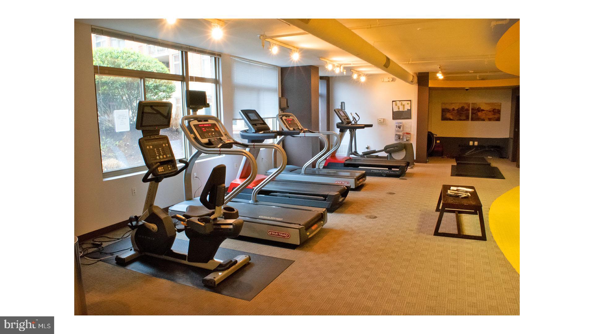 3650 South Glebe Road, Unit 361 Arlington, VA 22202 - Photo 31 of 50