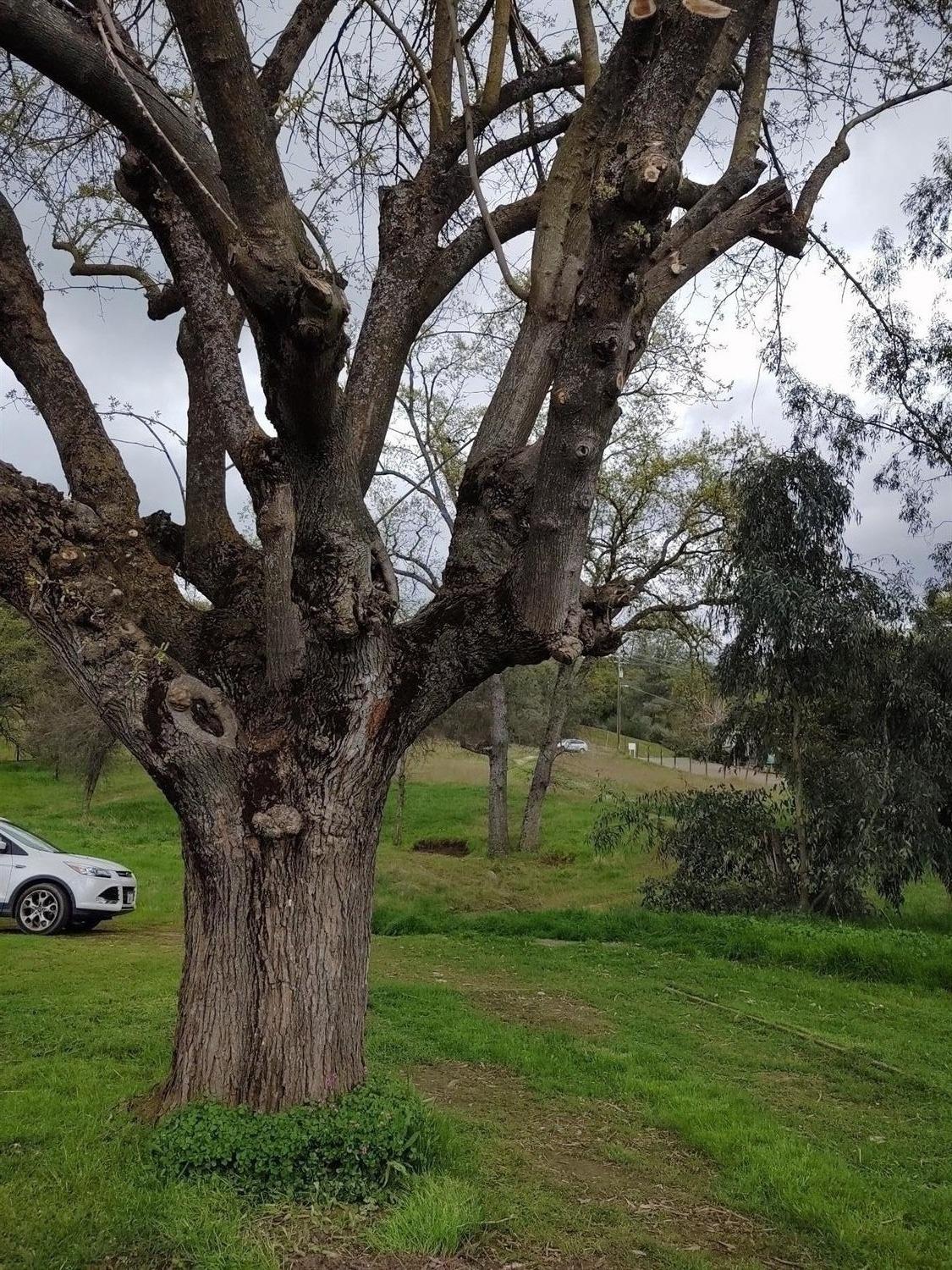 33865 Powerhouse Road Auberry, CA 93602 - Photo 6 of 41