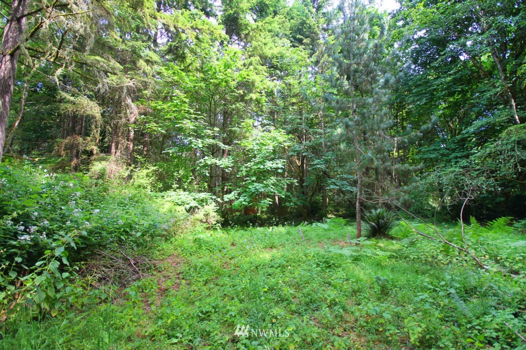135-xx Southwest Caster Road Vashon, WA 98070 - Photo 14 of 16 Gallery Image 14