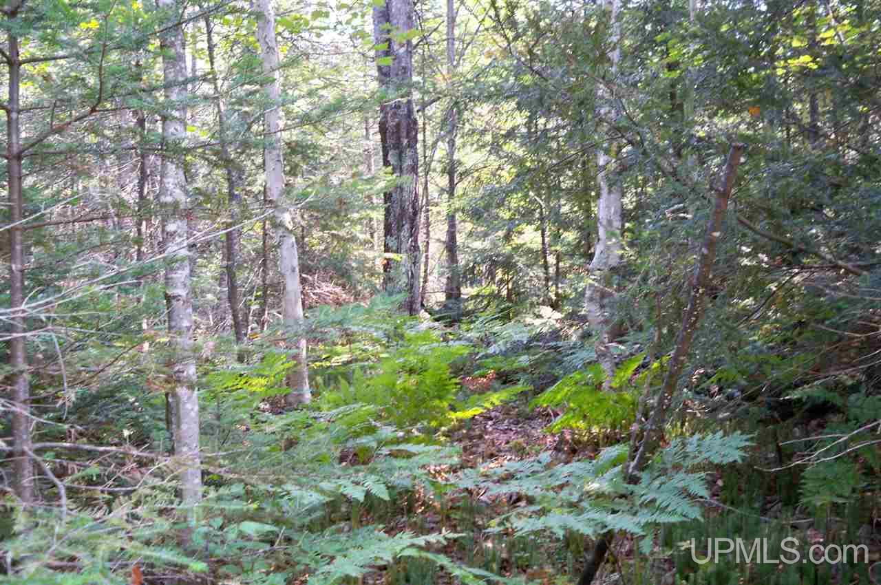 Tbd Cooks Lake Road Munising, MI 49862 - Photo 1 of 8