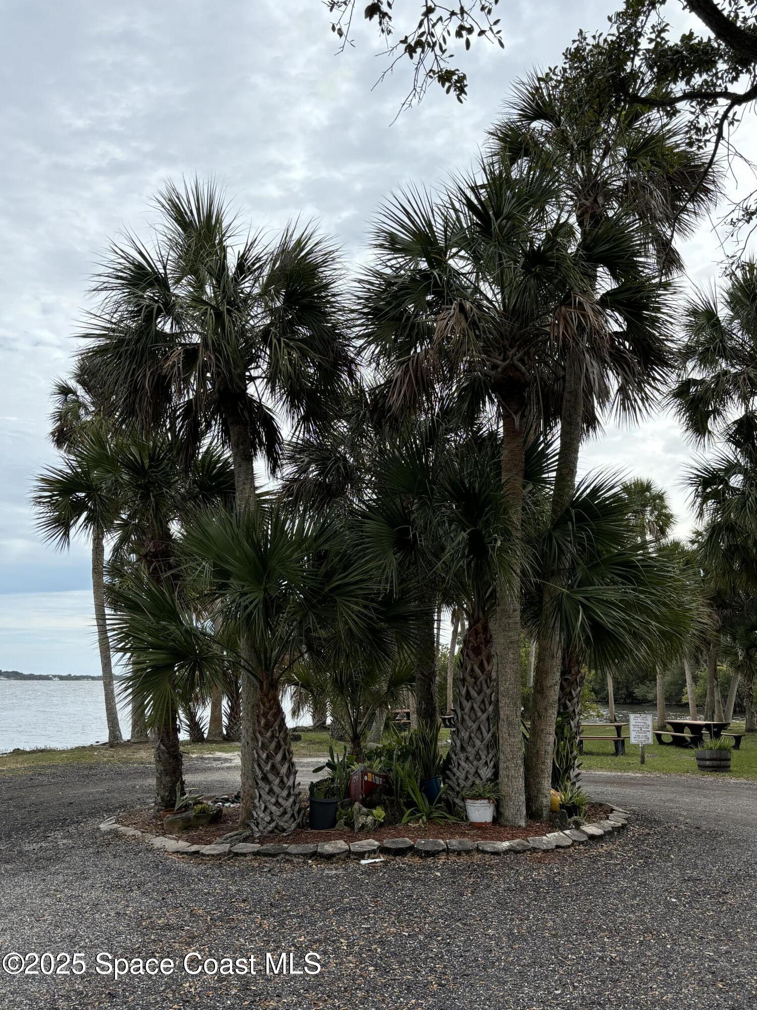 127 Plover Lane, Unit 531 Rockledge, FL 32955 - Photo 47 of 58 IMG_2774