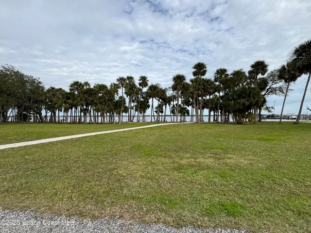 a view of a tennis ground with large trees