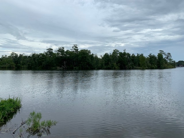 14235 County Road 9 Foley, AL 36535 - Photo 40 of 43