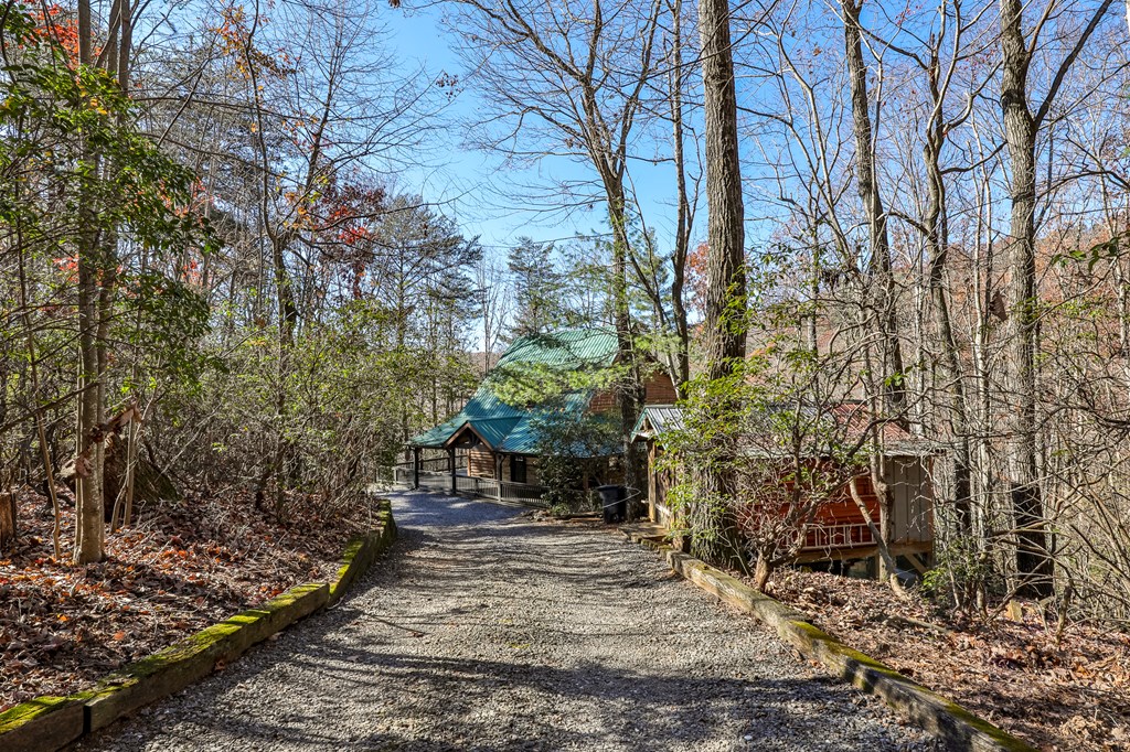 729 Poplar Hollow Road Ellijay, GA 30540 - Photo 36 of 58