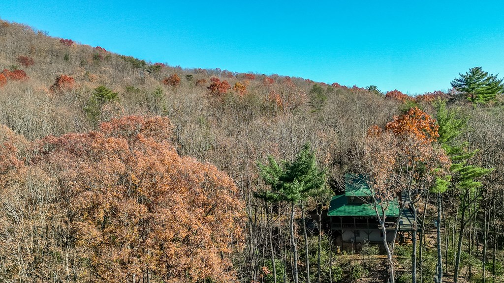 729 Poplar Hollow Road Ellijay, GA 30540 - Photo 54 of 58