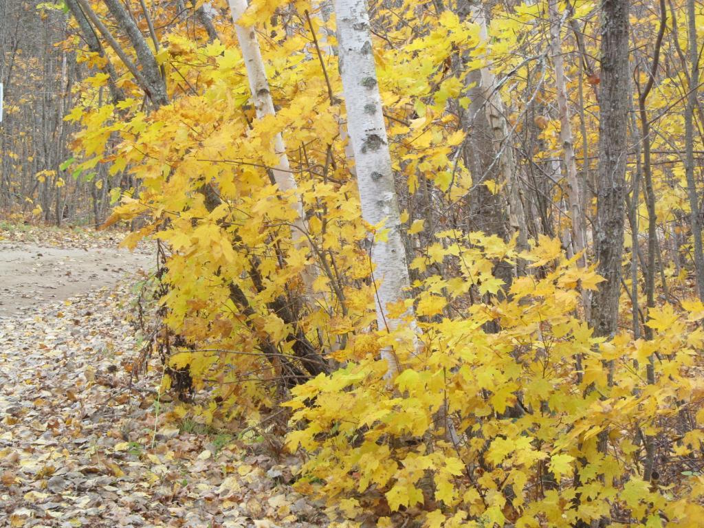 N535 Edgewater Road Spring Lake, MN 56680 - Photo 1 of 1