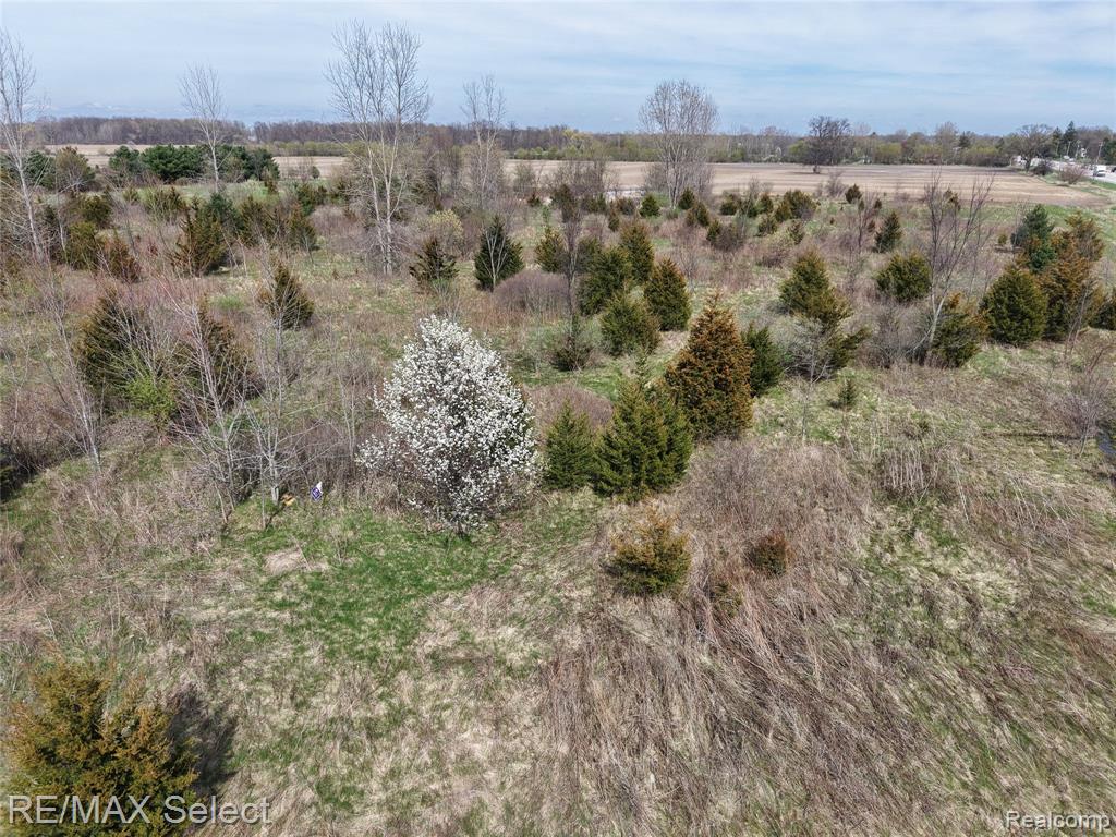 0 South Morrish Road Flint, MI 48532 - Photo 10 of 13