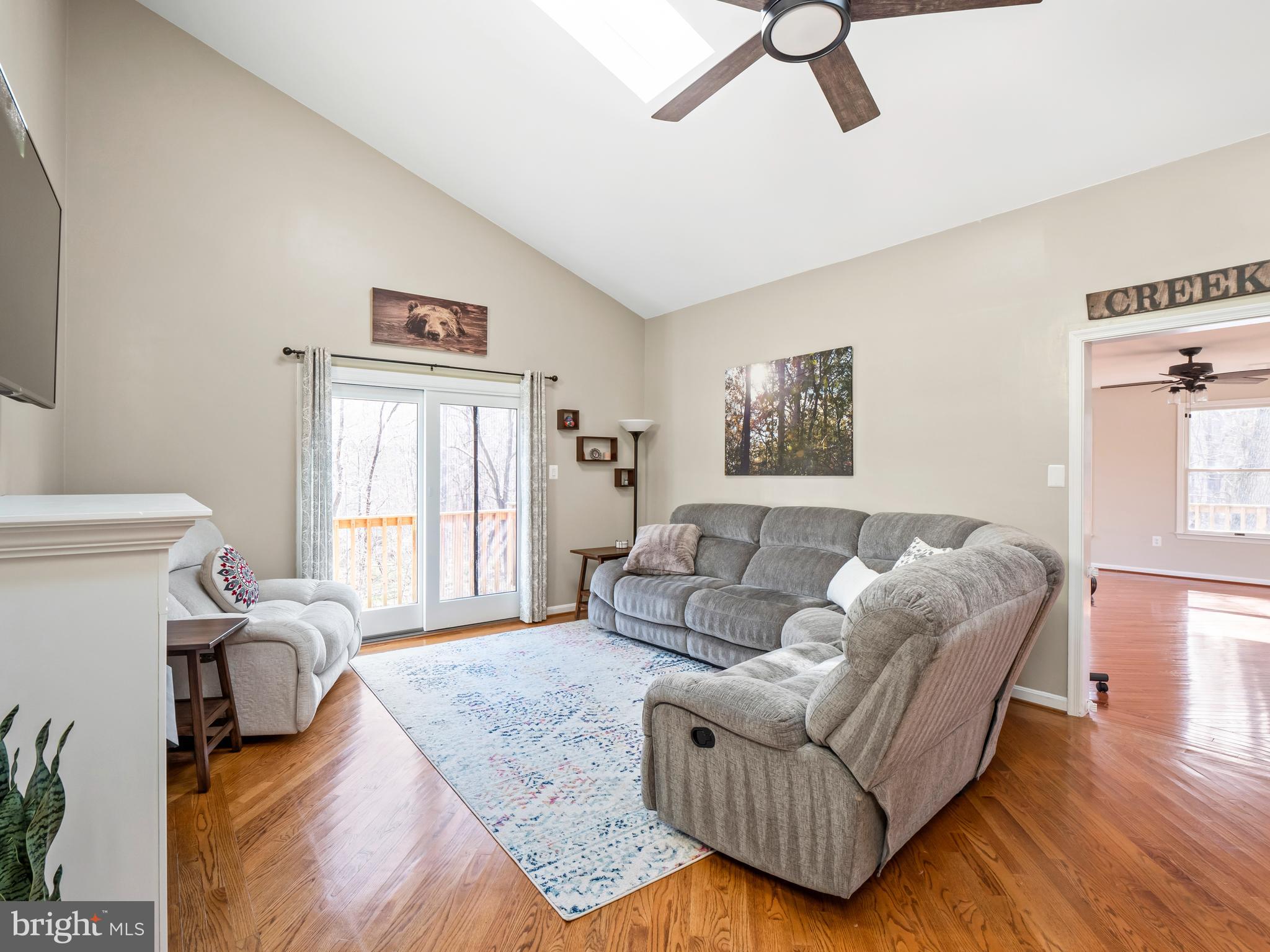 14533 Lightner Road Haymarket, VA 20169 - Photo 12 of 49 Vaulted ceilings in the living room