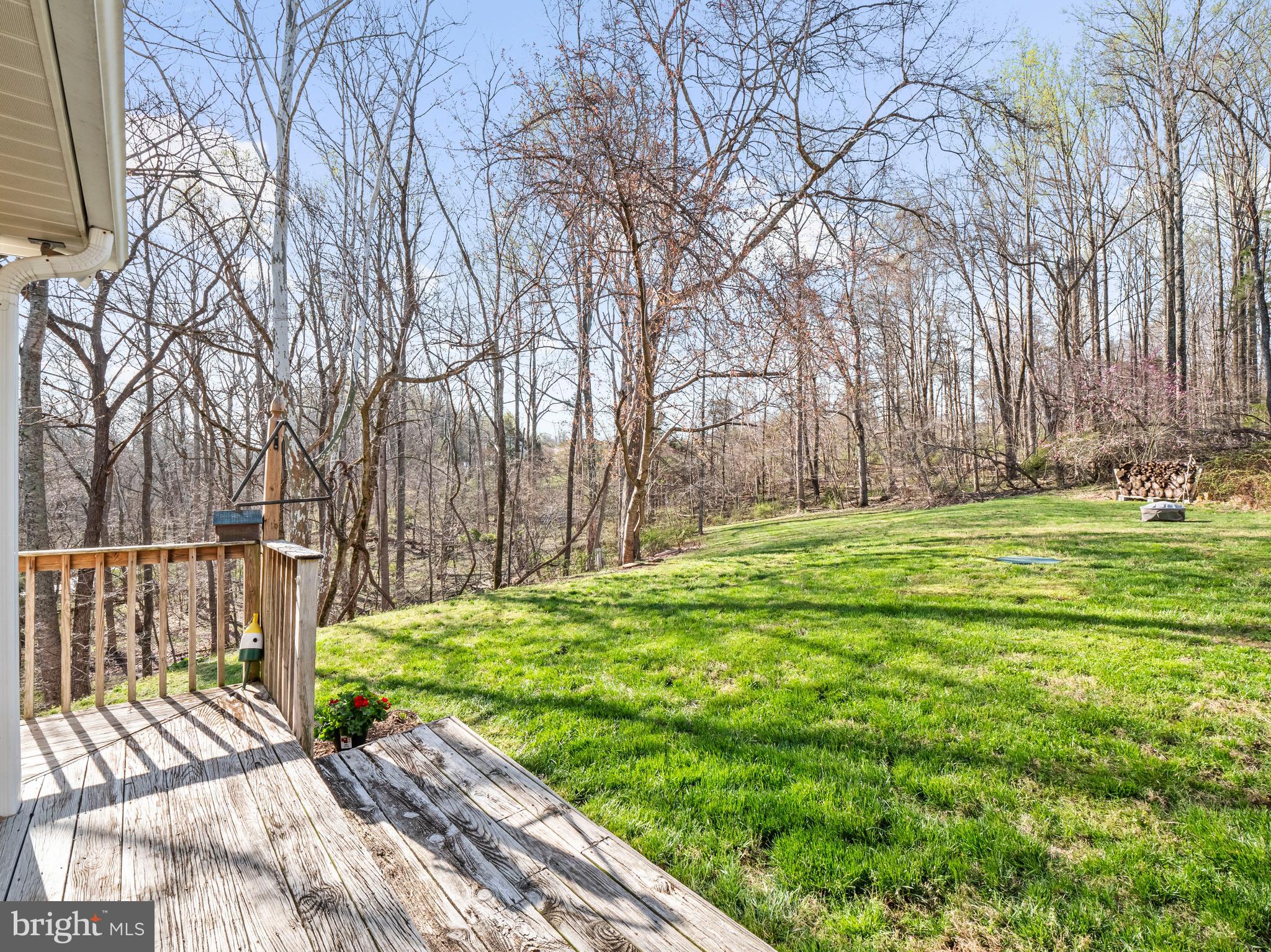 14533 Lightner Road Haymarket, VA 20169 - Photo 23 of 49 Backs to beautiful trees