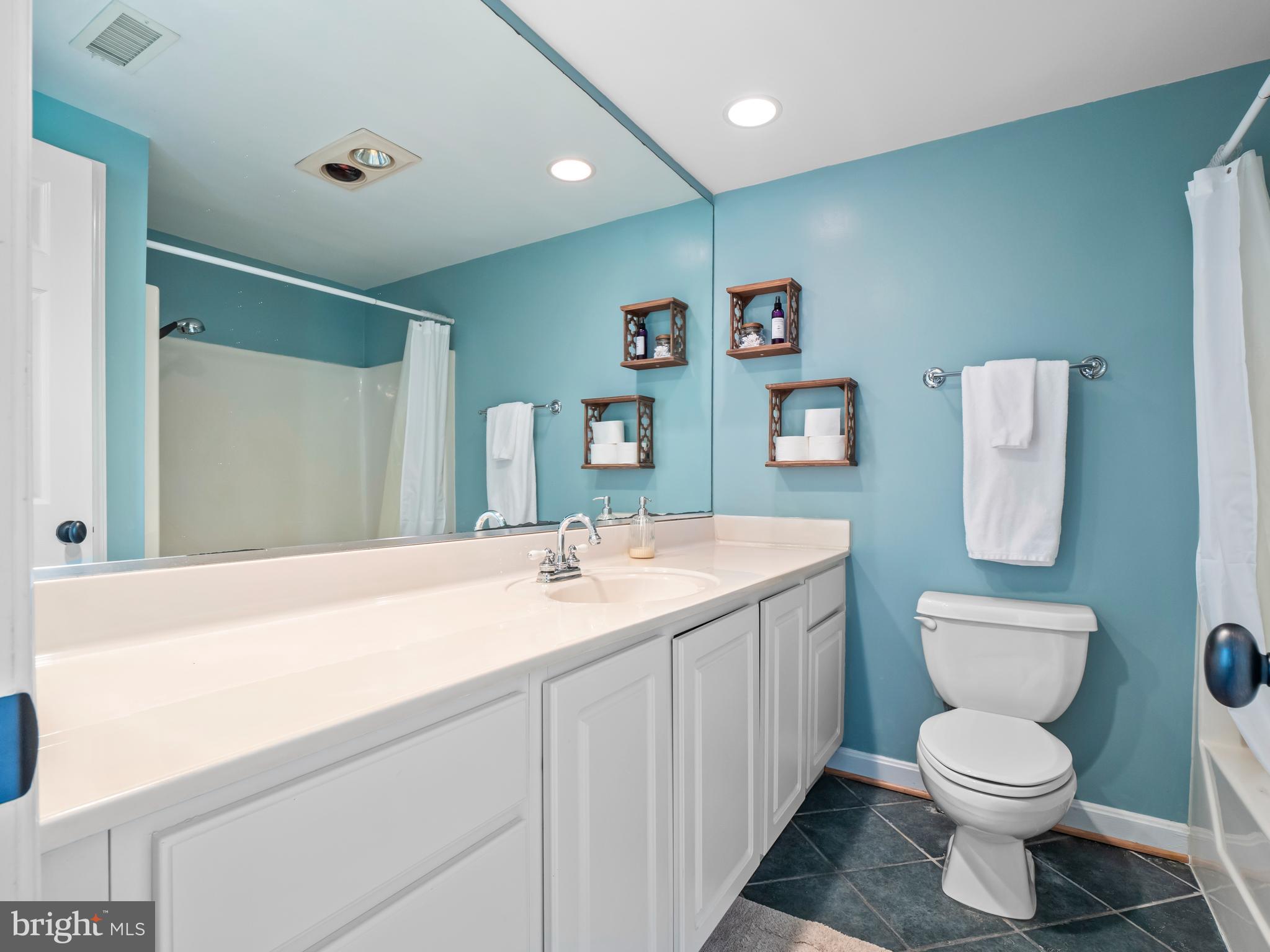 14533 Lightner Road Haymarket, VA 20169 - Photo 8 of 49 second primary bath