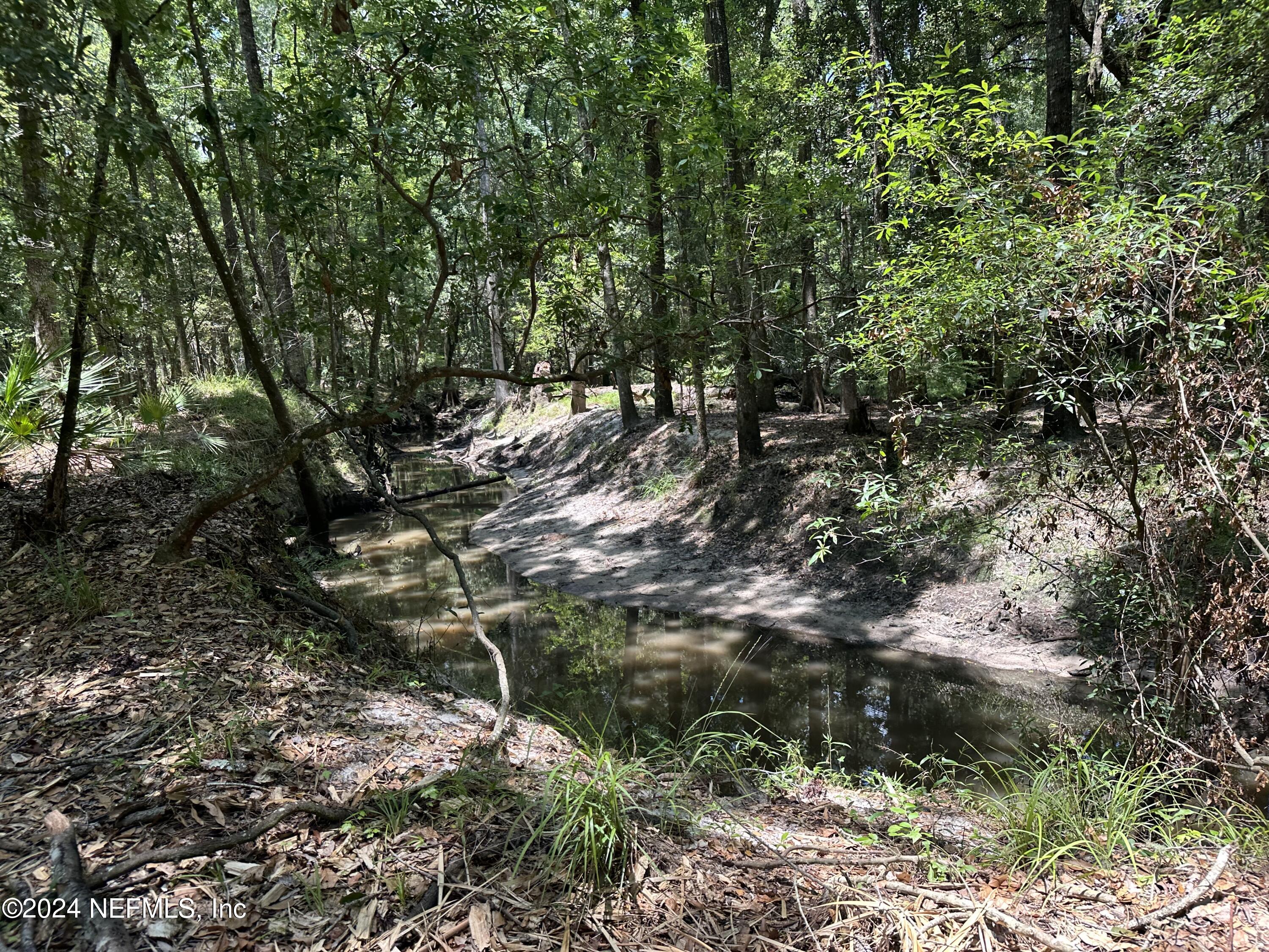 Lot 2 Us Highway Jacksonville, FL 32234 - Photo 5 of 12 a backyard of a house with a yard
