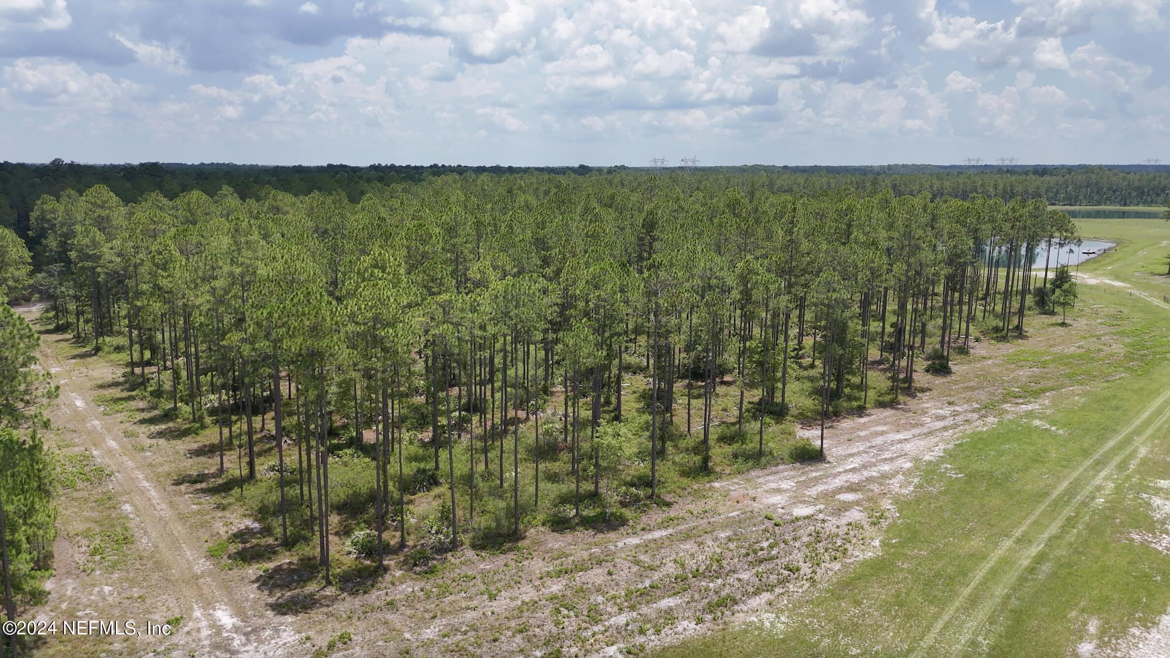 Lot 2 Us Highway Jacksonville, FL 32234 - Photo 7 of 12 a view of a pathway both side of grassy field with shrub