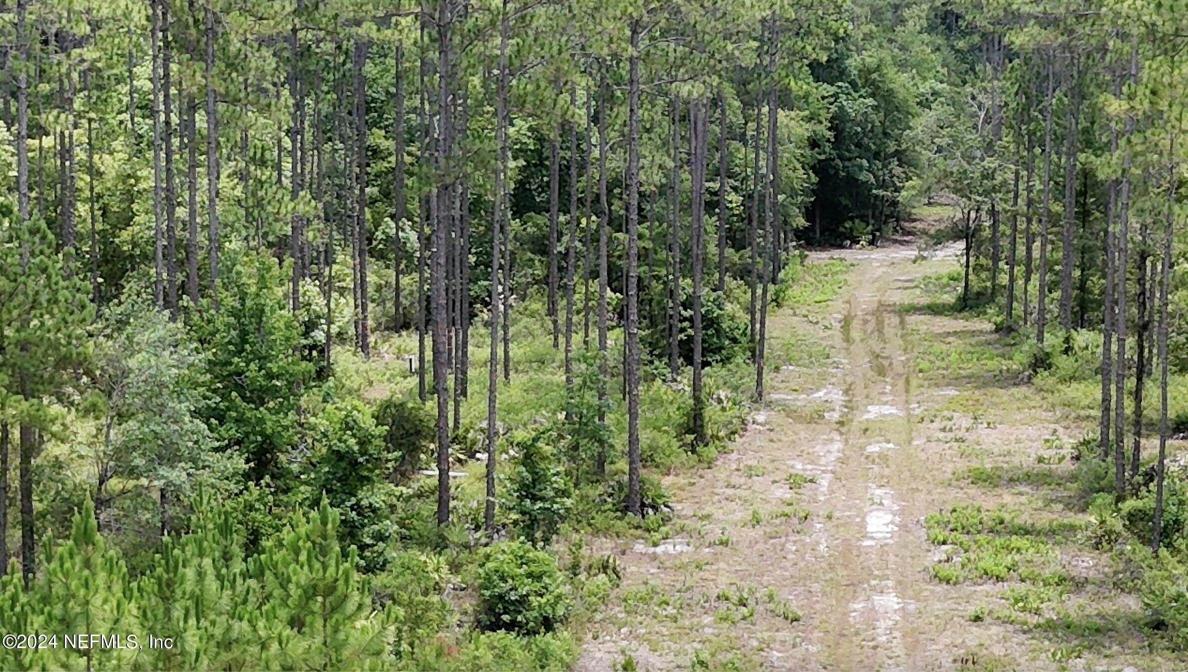 Lot 2 Us Highway Jacksonville, FL 32234 - Photo 8 of 12 a view of yard