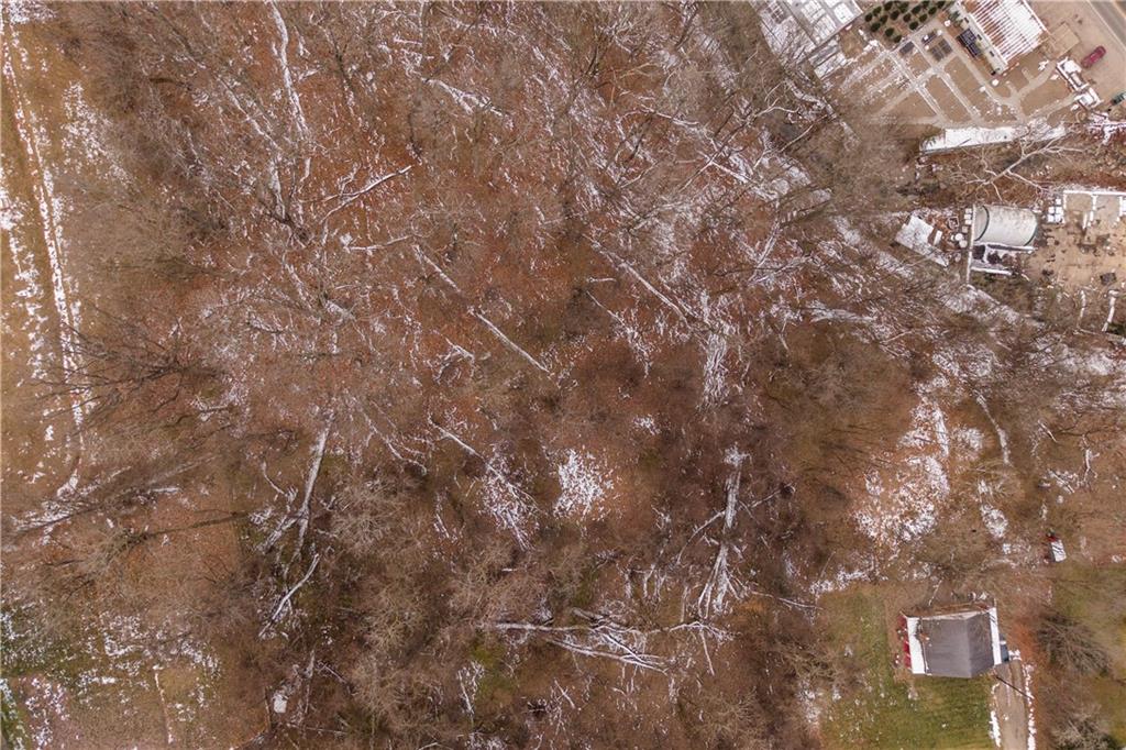 1853 Essen Hill Road Pittsburgh, PA 15241 - Photo 3 of 10 a close up of a tree