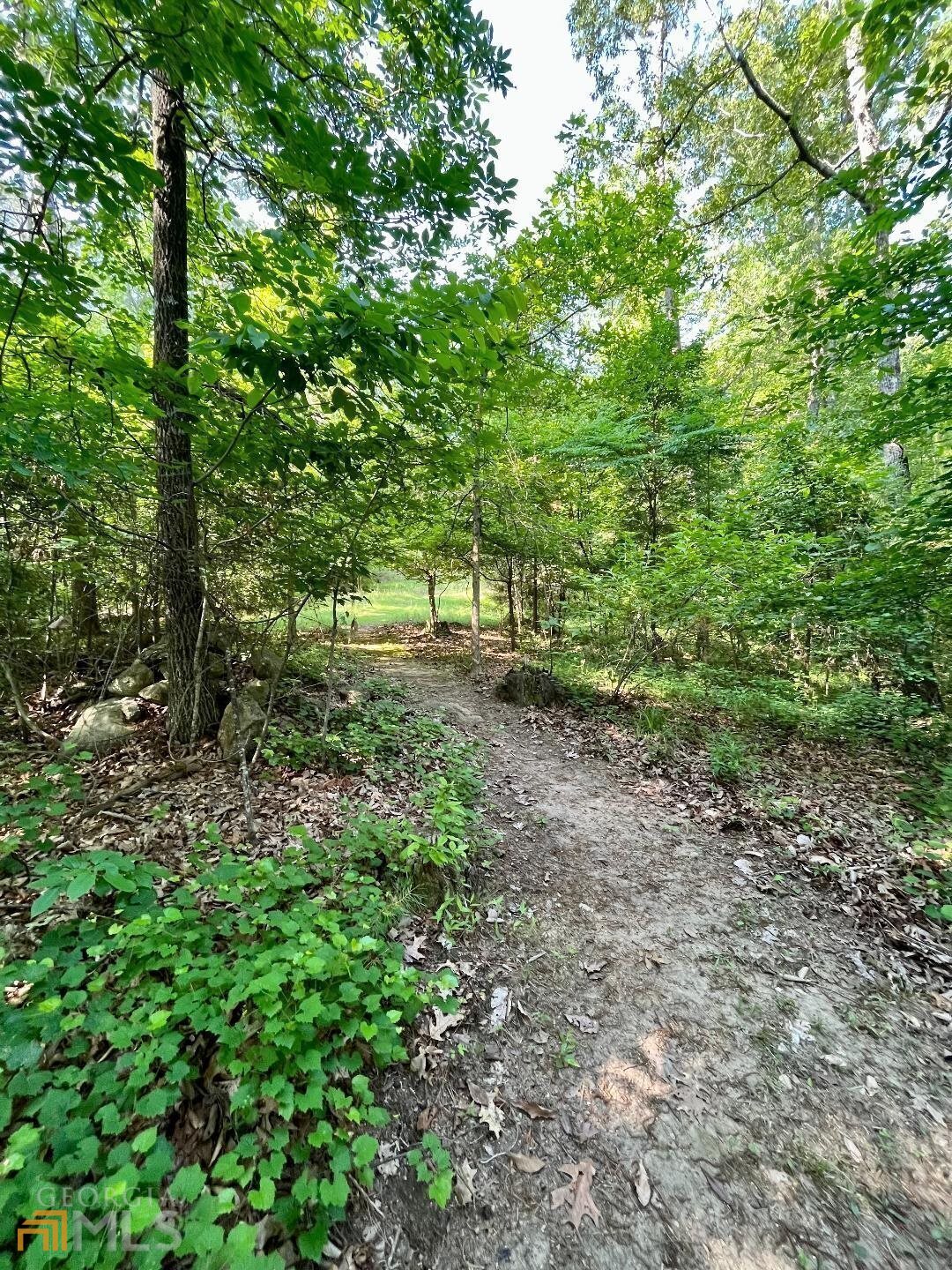 172 Nighthawk Court Monticello, GA 31064 - Photo 11 of 26