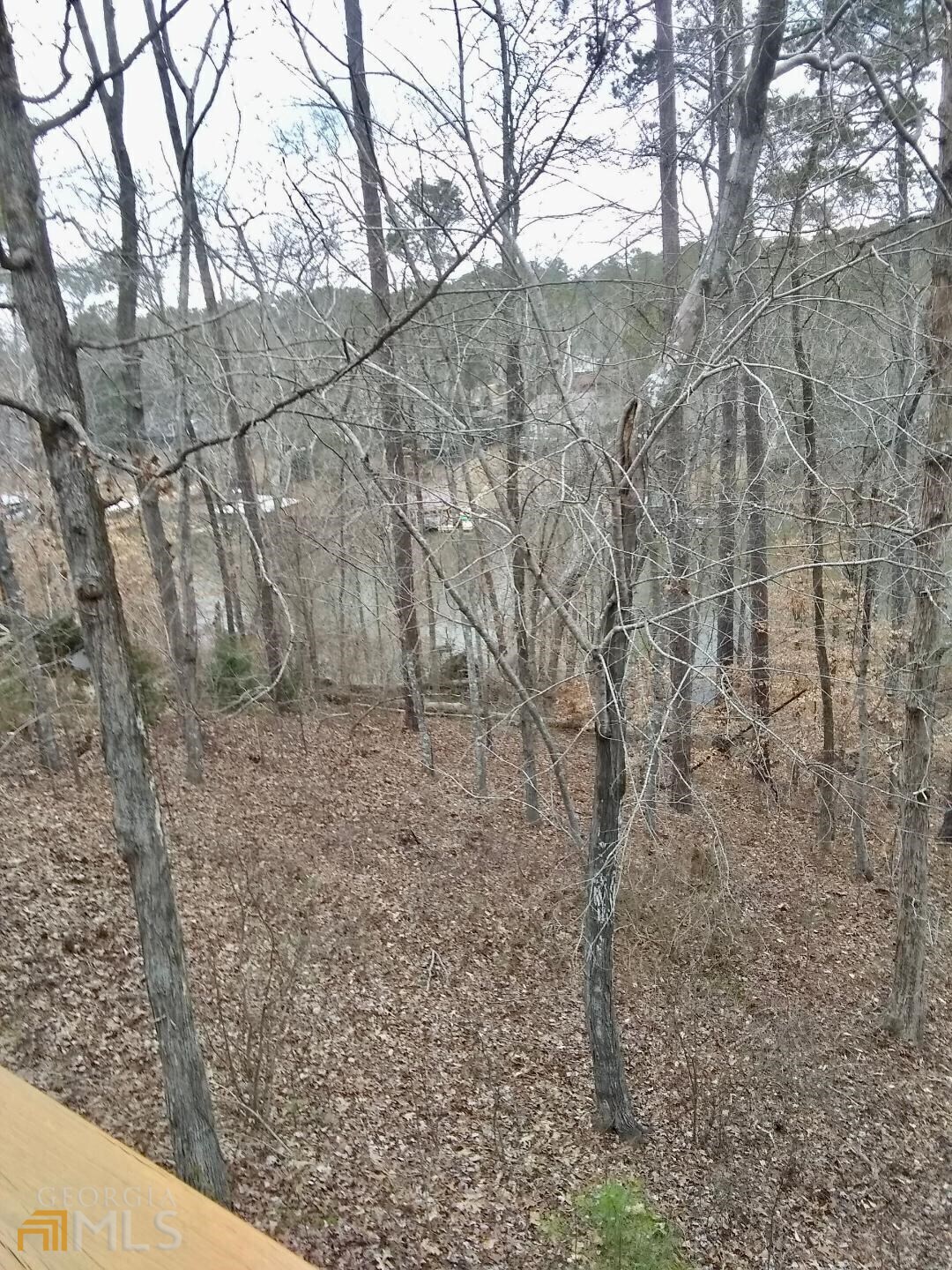 172 Nighthawk Court Monticello, GA 31064 - Photo 23 of 78