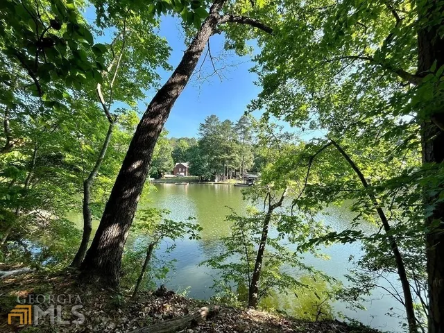 a view of a yard with a tree