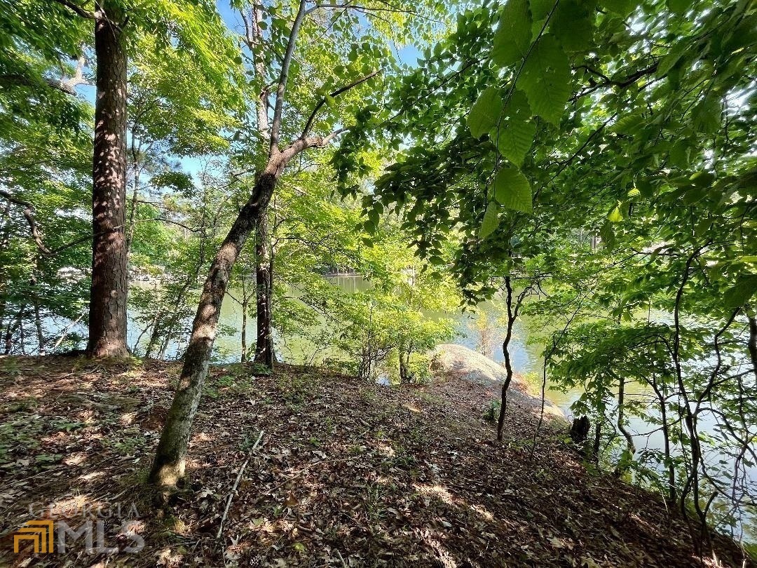 172 Nighthawk Court Monticello, GA 31064 - Photo 64 of 78