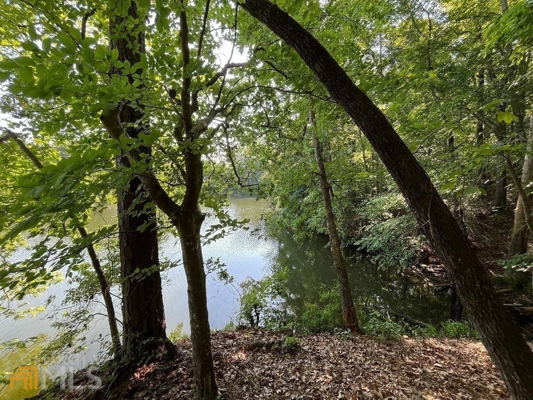 172 Nighthawk Court Monticello, GA 31064 - Photo 7 of 26