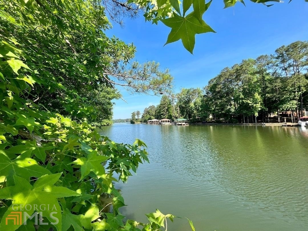 172 Nighthawk Court Monticello, GA 31064 - Photo 9 of 26