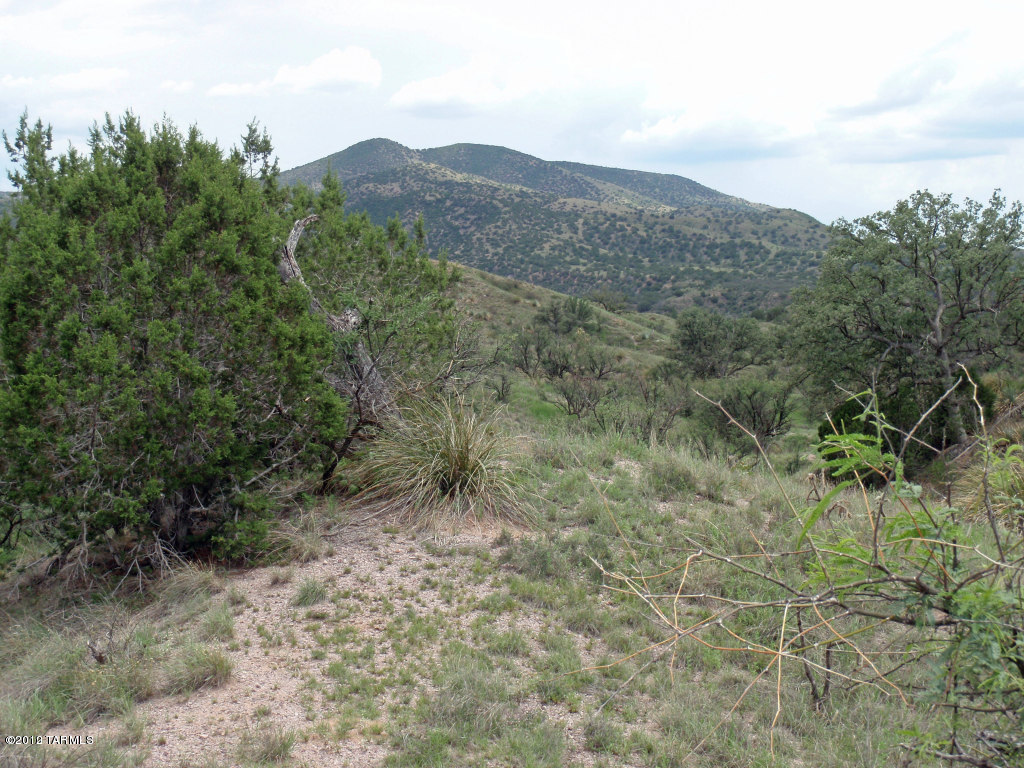Tbd Wood Canyon Road, Unit 7 Patagonia, AZ 85624 - Photo 2 of 9