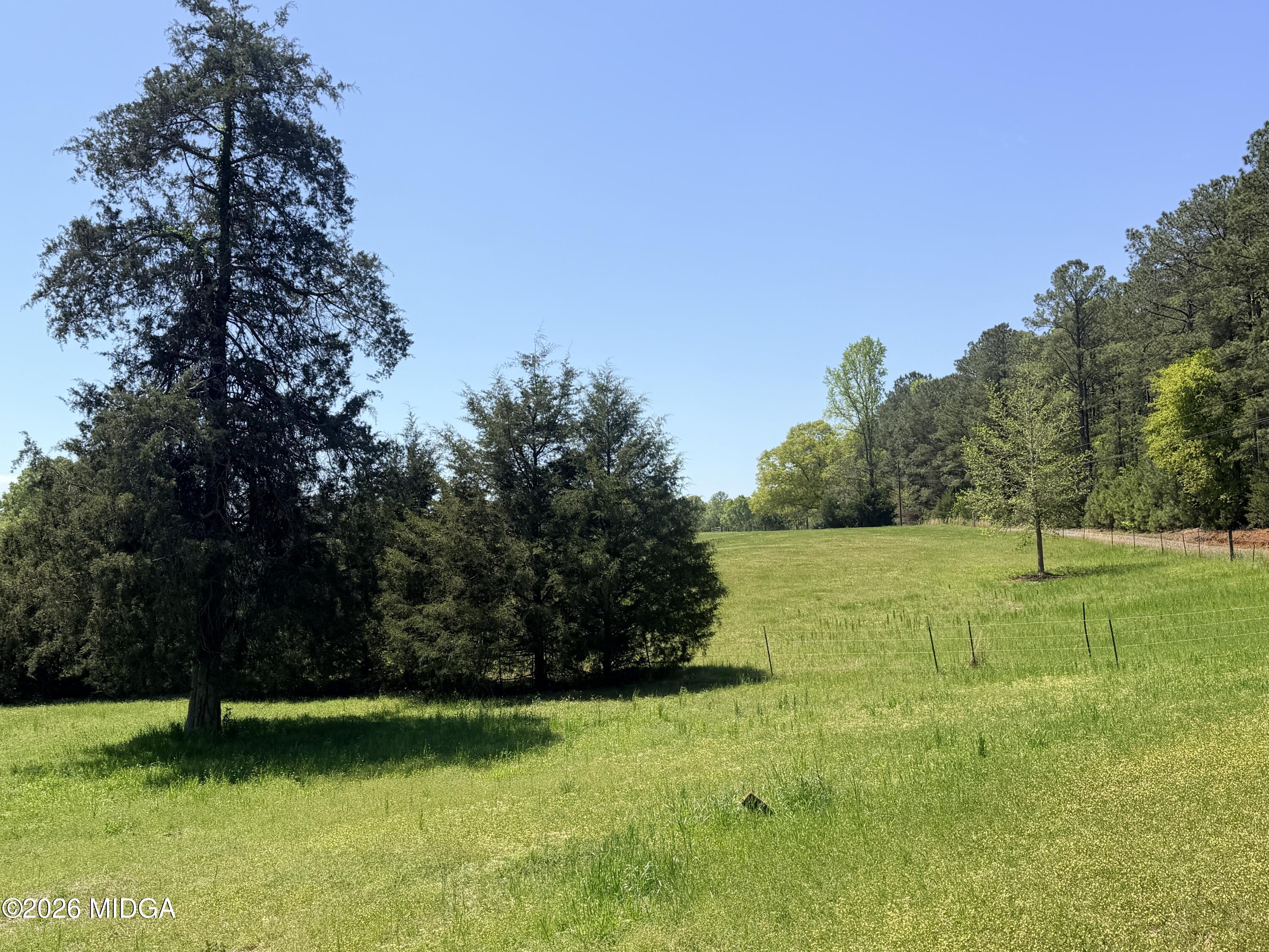 11190 Treadwell Road Forsyth, GA 31029 - Photo 13 of 30 IMG_8015