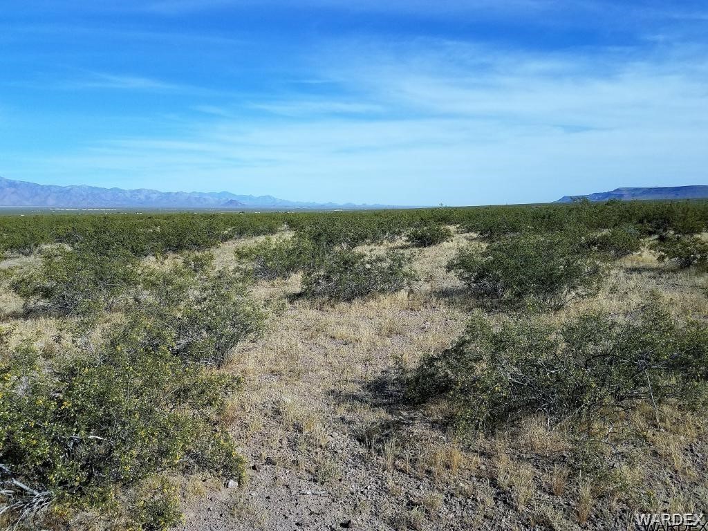 5870 Muscovite Road Golden Valley, AZ 86413 - Photo 3 of 21 a view of a city with lush green forest