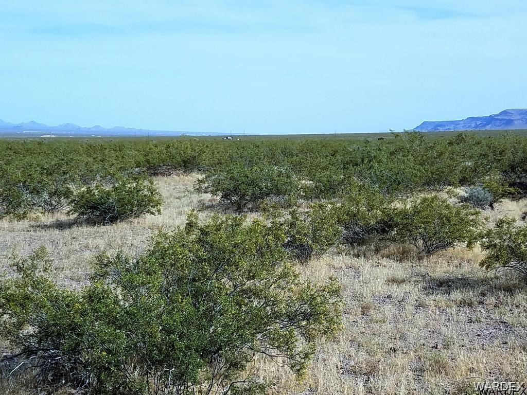 5870 Muscovite Road Golden Valley, AZ 86413 - Photo 8 of 21 a view of a field with an ocean