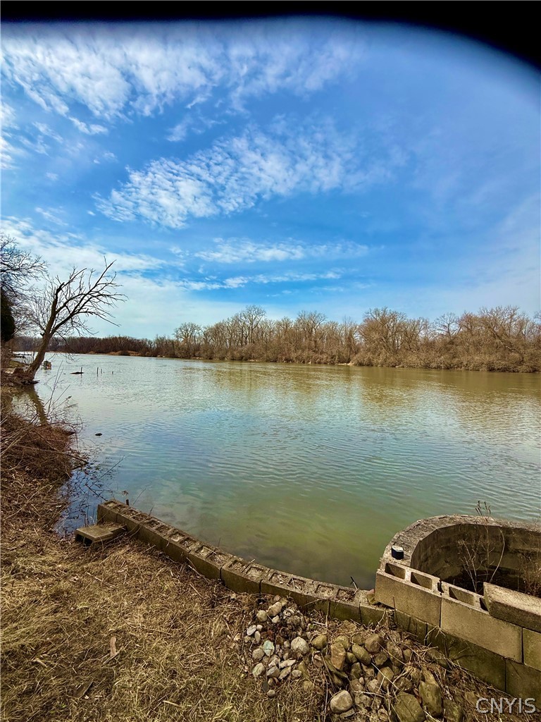 8727 Dwyer Road Montezuma, NY 13140 - Photo 12 of 26