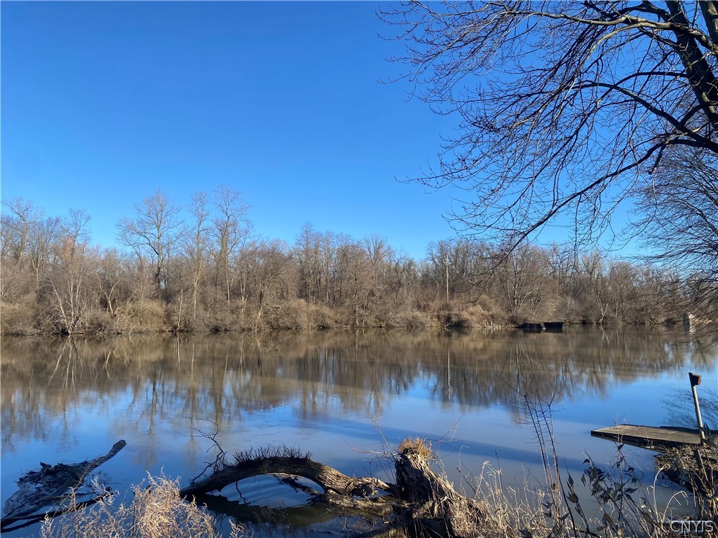 8727 Dwyer Road Montezuma, NY 13140 - Photo 6 of 26