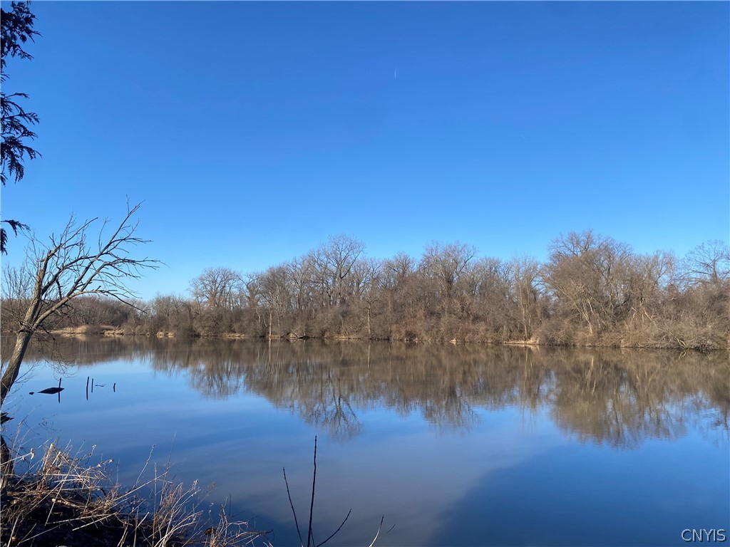8727 Dwyer Road Montezuma, NY 13140 - Photo 7 of 26
