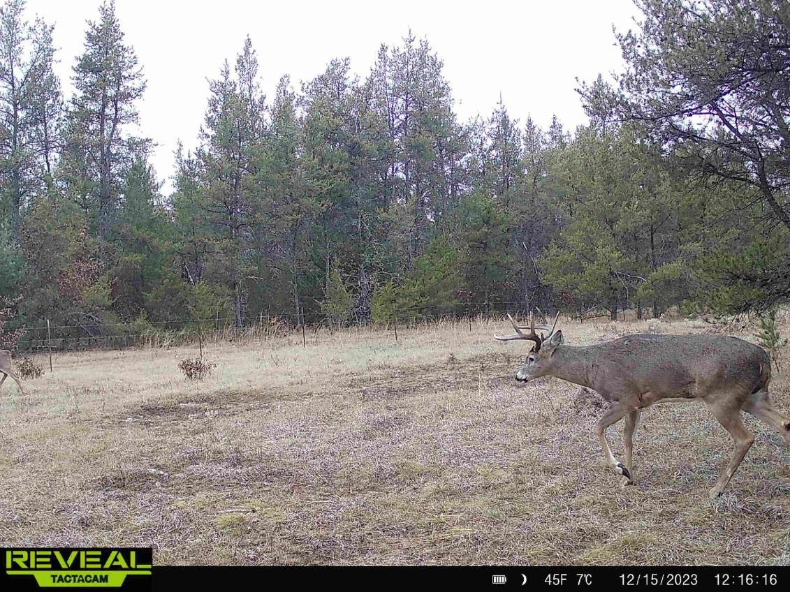 E20244 Cty Road Augusta, WI 54722 - Photo 9 of 27