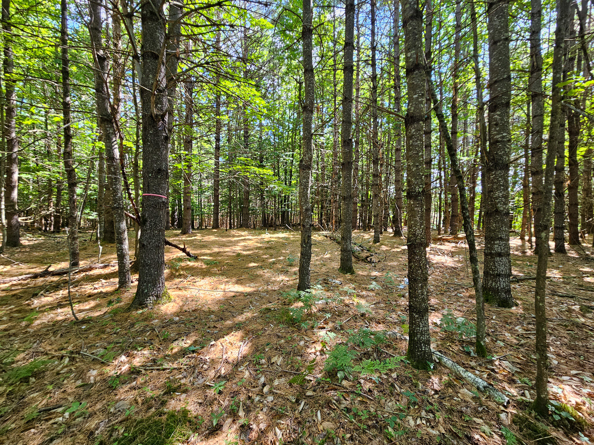 11-31-c Stone Hill Road Farmington, ME 04938 - Photo 6 of 22