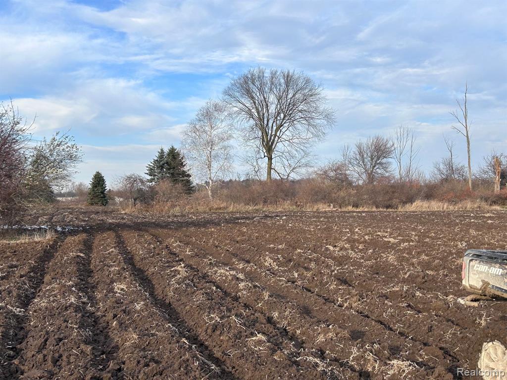 6550 Suerwier Road Applegate, MI 48401 - Photo 9 of 12
