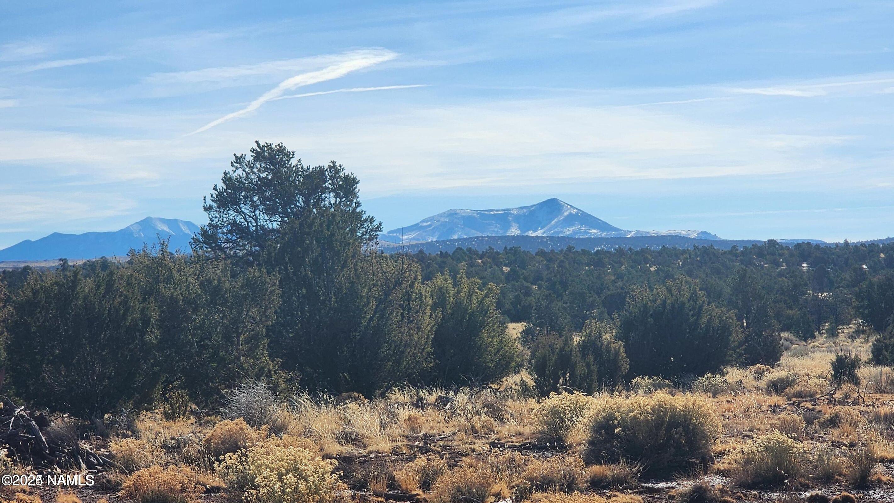 4378 Lasso Loop Williams, AZ 86046 - Photo 27 of 29 20240119024832252109000000-o