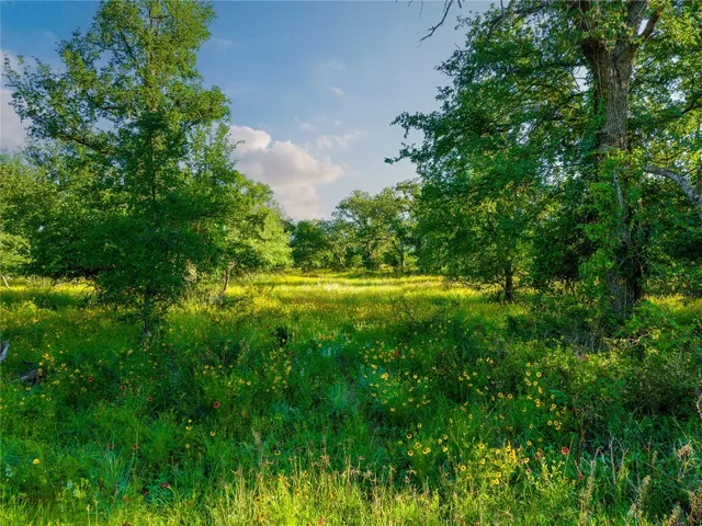 a big yard with lots of green space and deers