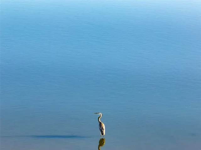a bathroom with a shower curtain