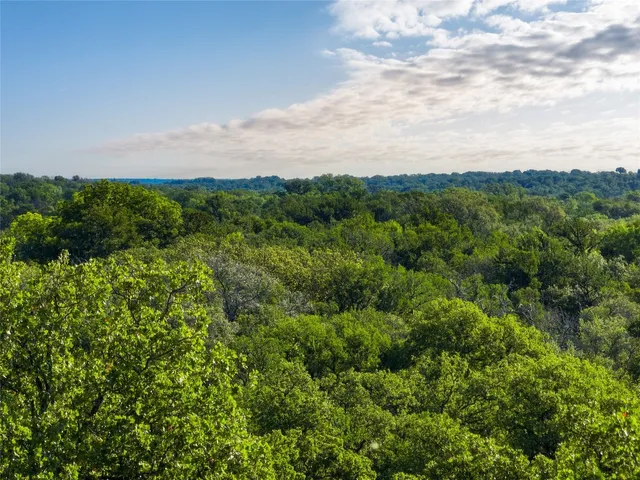 a view of a field of grass and trees