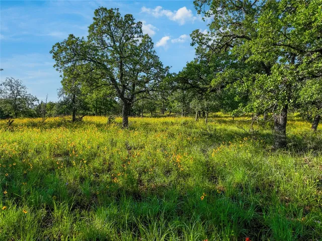 a view of a tiny house with a big yard and large trees