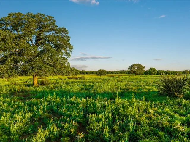a view of an ocean and beach