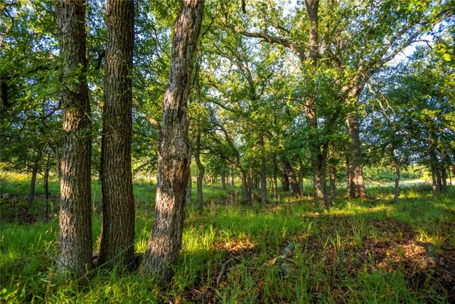 $4,694,000 | 260 Richland Springs, Richland Springs, TX 76871